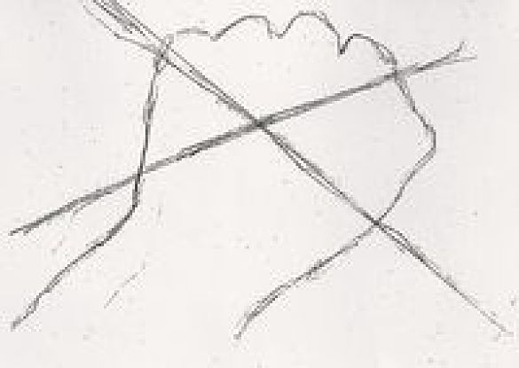 Zeichnung einer durchgestrichenen Faust