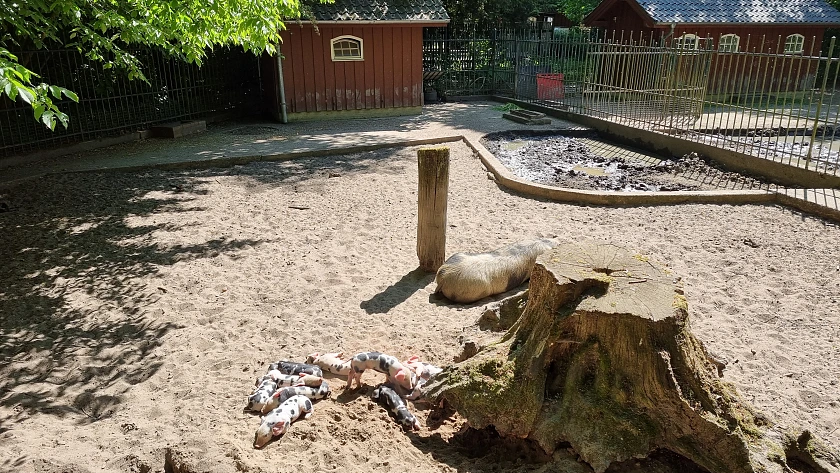 B&uuml;rgerpark
