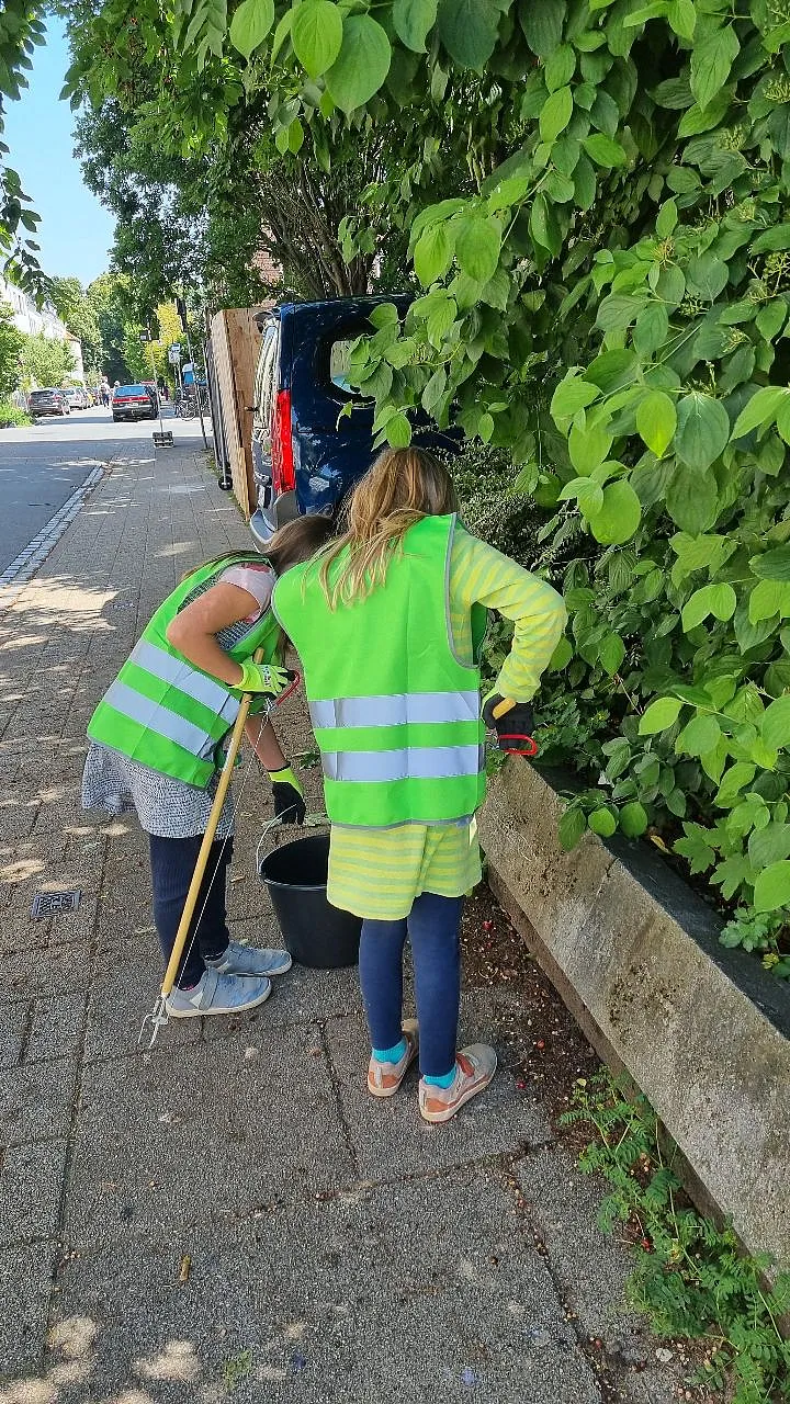 clean up your city2